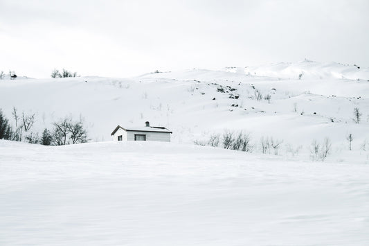 These Three Supplements Can Help Protect You and Fight Against Winter Illnesses
