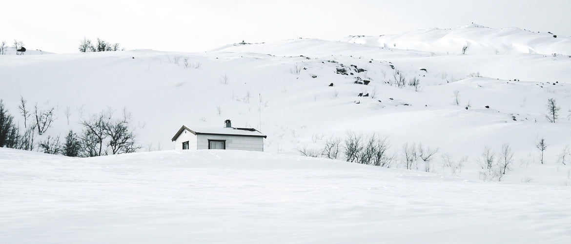 These Three Supplements Can Help Protect You and Fight Against Winter Illnesses