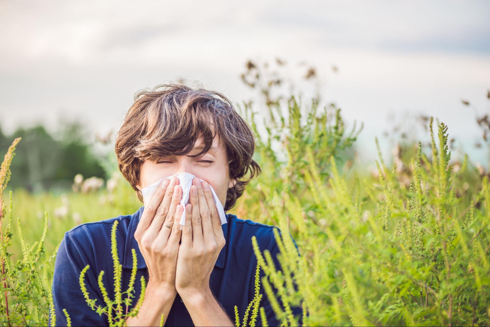 Top 7 Ways to Fight Seasonal allergies