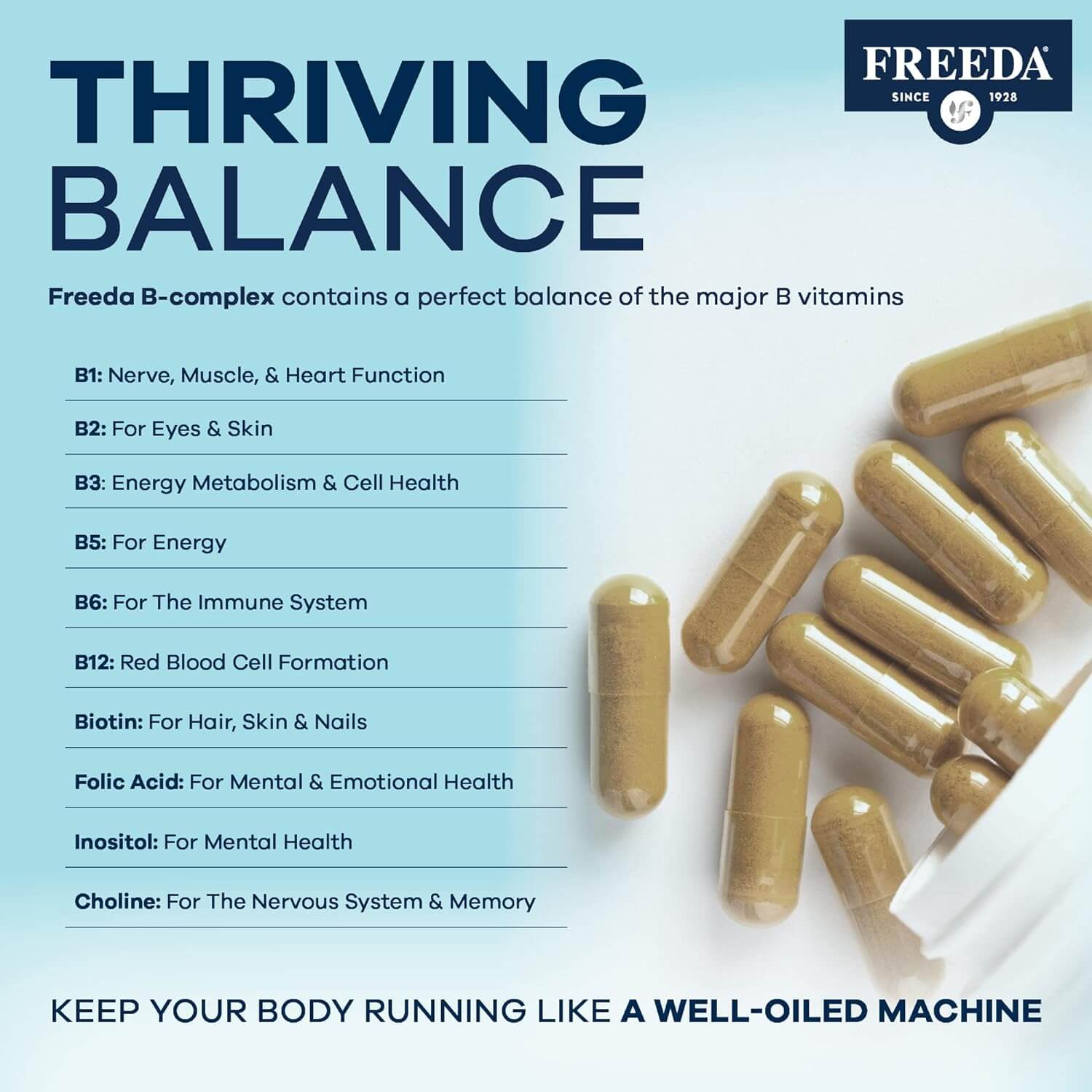 FREEDA  B Complex Super Quints B-50