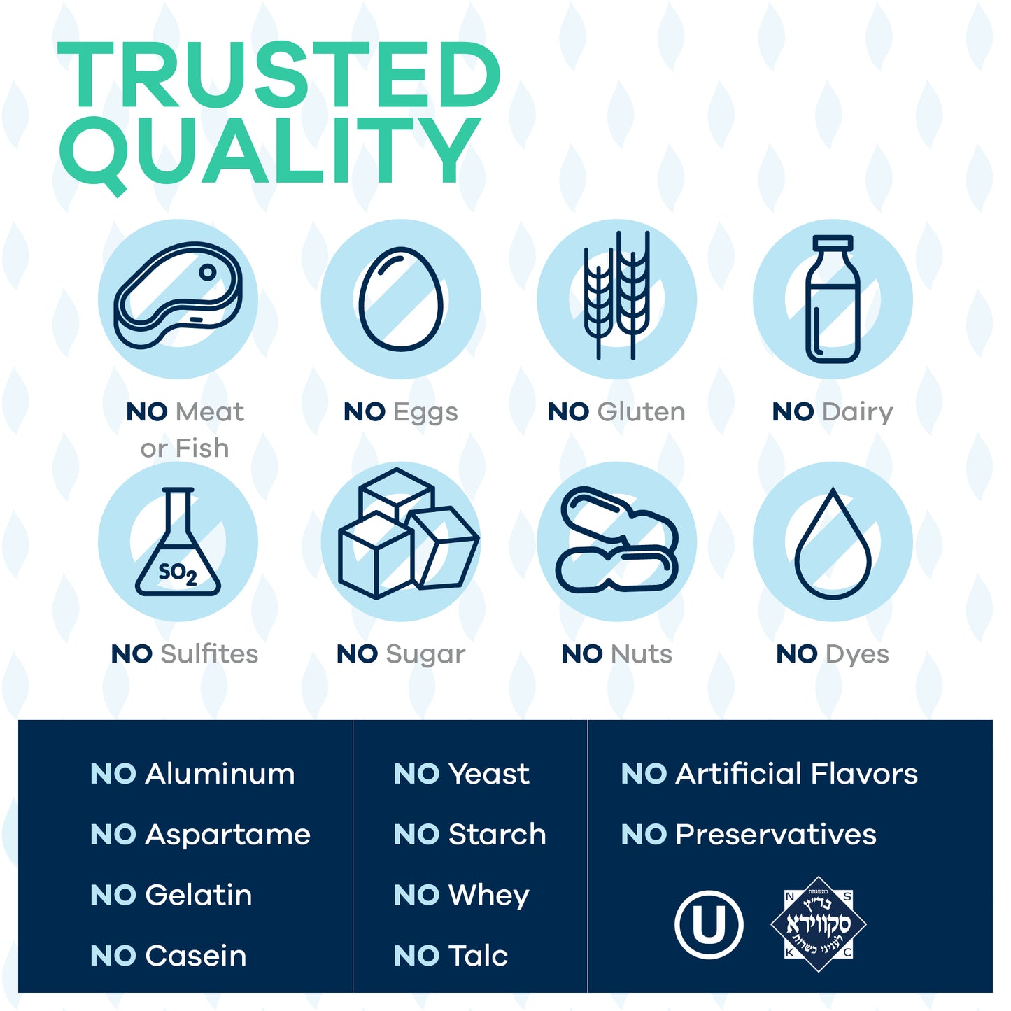 FREEDA  Sambucus Elderberry with Vitamin C, D3, Zinc & Ginger 120 Capsules