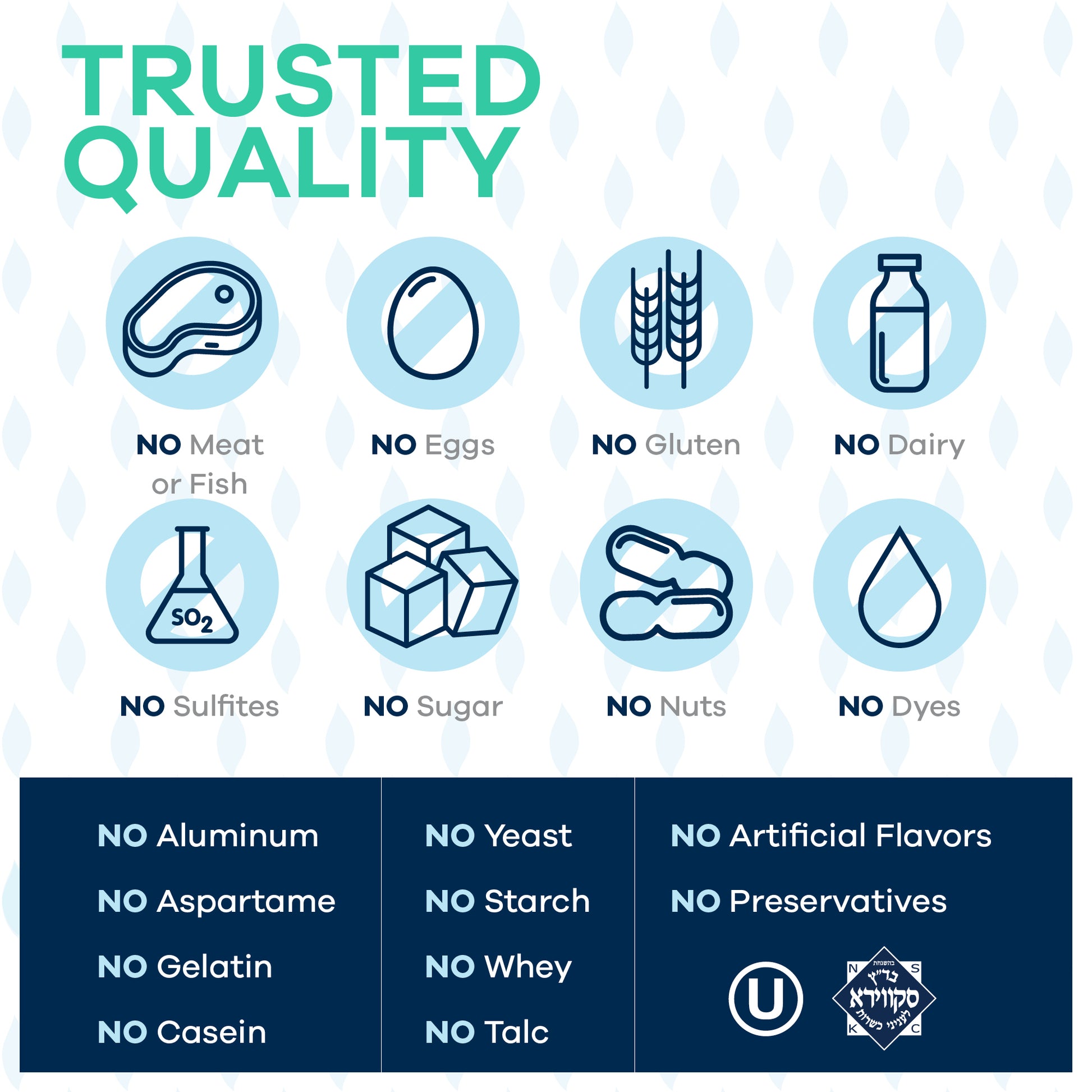 FREEDA  Sambucus Elderberry with Vitamin C, D3, Zinc & Ginger 120 Capsules